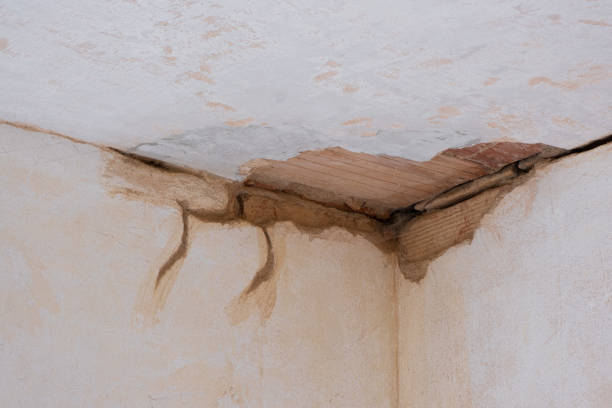  North Palm Beach, FL Water damage restoration Pros