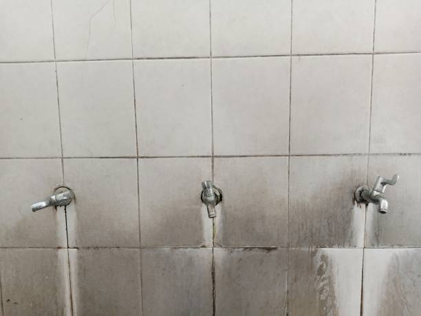 Best Residential water damage restoration  in North Palm Beach, FL