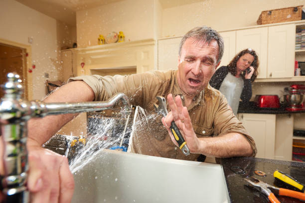 Best Flooded house restoration  in North Palm Beach, FL